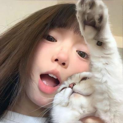 野猫痴情